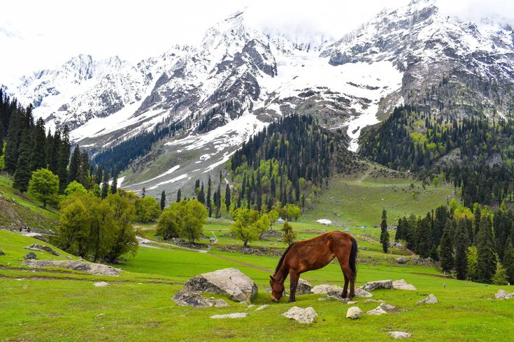 Gulmarg, India